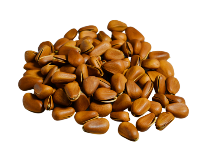 Brown Nuts