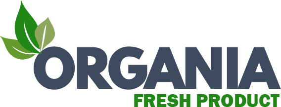 Building Healthier Communities