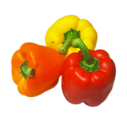 Mixed Vegan Capsicum