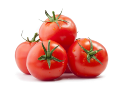 Vegan Fresh Tomato