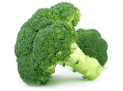 Calabres Broccoli