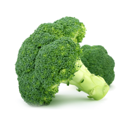 Calabres Broccoli