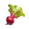 Vegan Fresh Radish