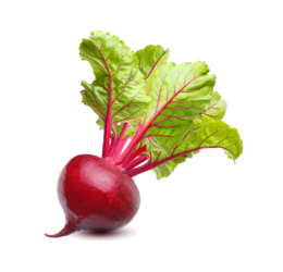 Vegan Fresh Radish