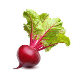 Vegan Fresh Radish